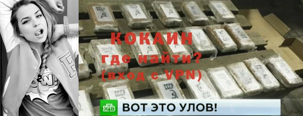 прущие грибы Михайлов