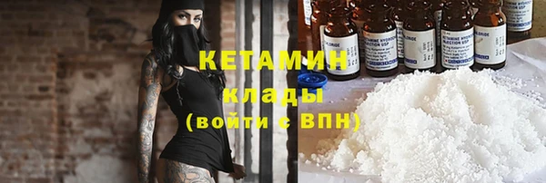 прущие грибы Михайлов