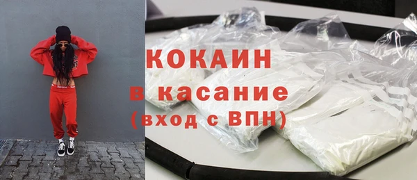 прущие грибы Михайлов
