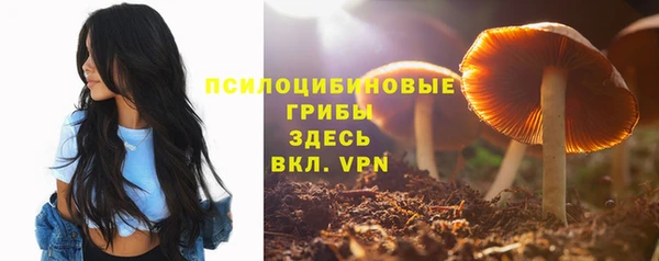 прущие грибы Михайлов