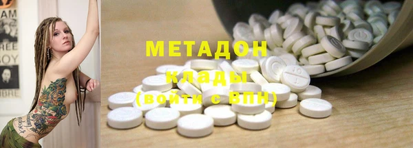 прущие грибы Михайлов