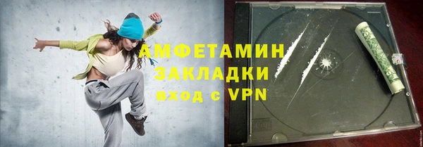 прущие грибы Михайлов