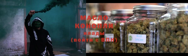 прущие грибы Михайлов