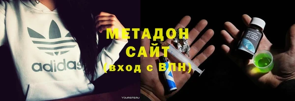 прущие грибы Михайлов