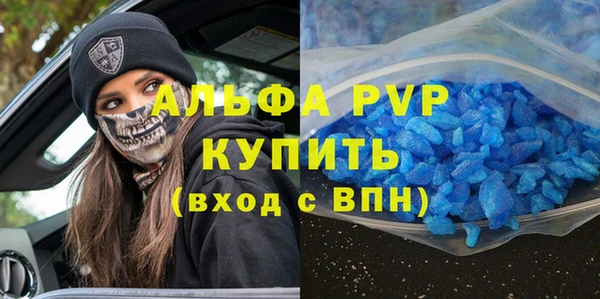 прущие грибы Михайлов