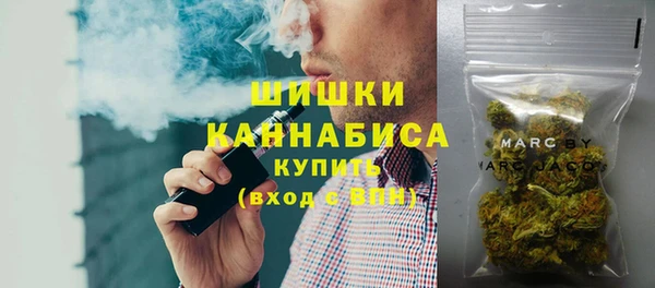 прущие грибы Михайлов