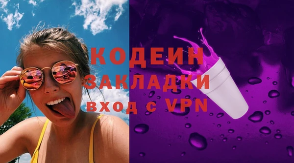 прущие грибы Михайлов