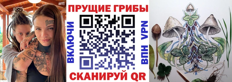 Купить  Симферополь  Галлюциногенные грибы Psilocybe 